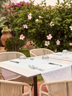 A beautiful table with a white tablecloth in the fresh air. The bush is green with pink hibiscus flowers. Relax on the terrace., How To Braid Hibiscus Tree