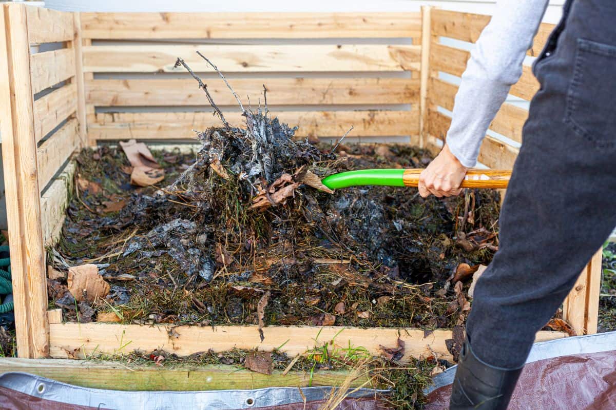A gardener wearing plastic boots and overalls is turning a compost pile using a shovel or fork. the worker transfers partially composted material from heap onto tarp for aeration.