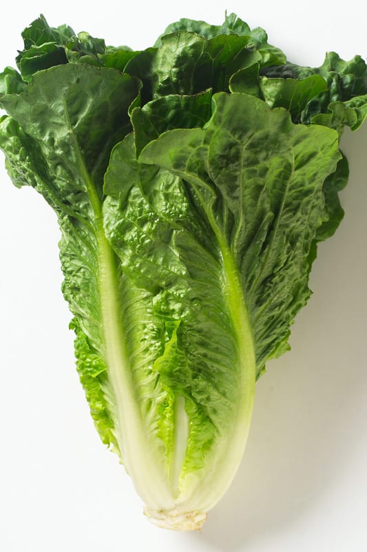 A healthy lettuce on a white background