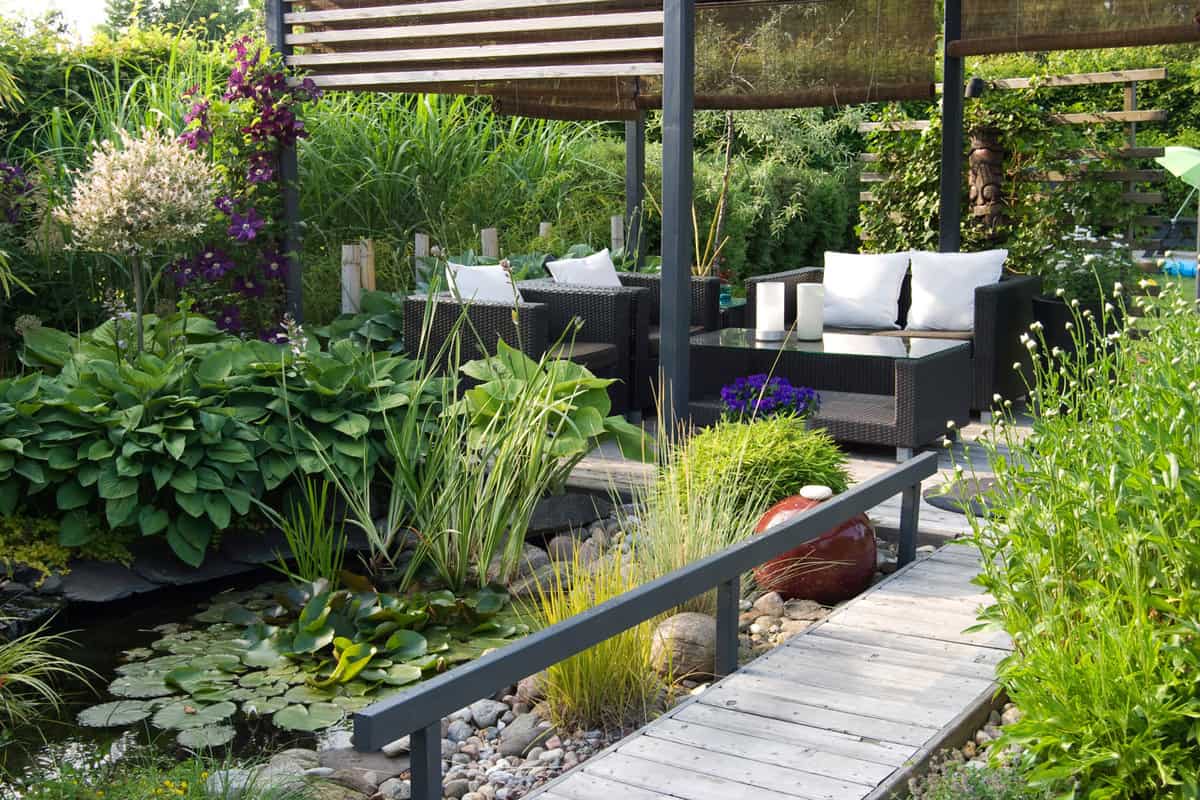 A modern furnished patio and pergola with a small pond, water lilys, hostas and Clematis