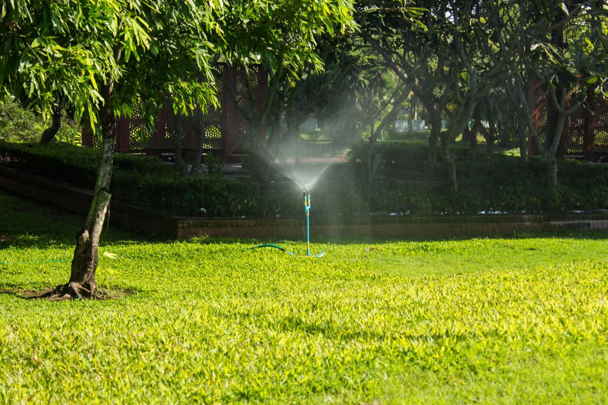 Automatic Garden Lawn sprinkler in action watering grass