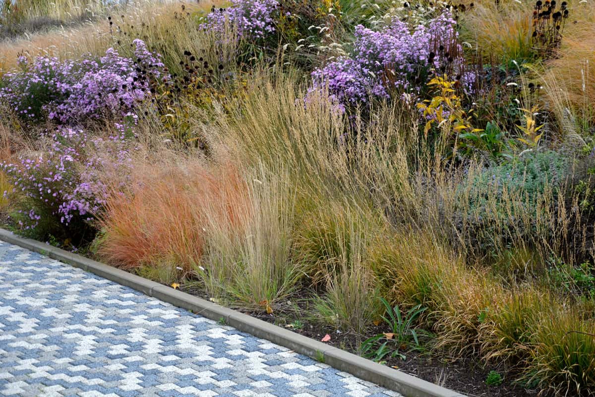 Autumn flowerbed with perennials and grasses in a square with black stone cobblestone tiles
