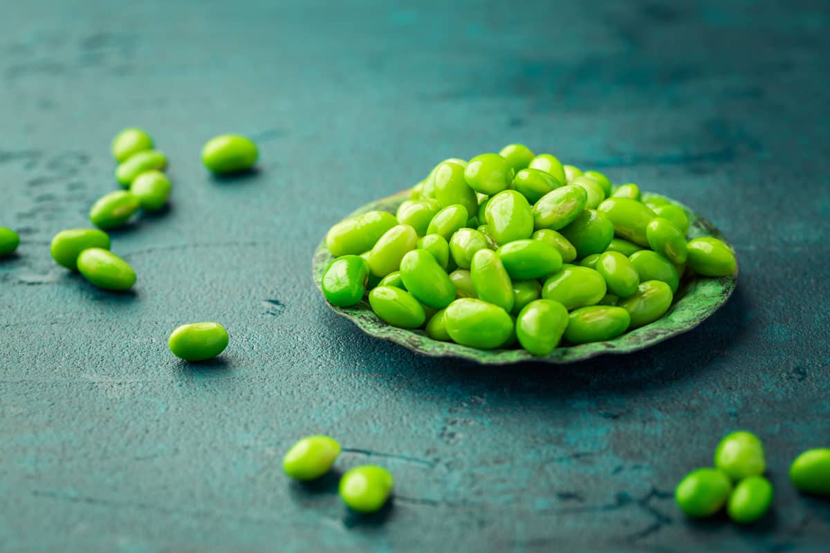 Bowl of raw edamame beans on cyan color desk