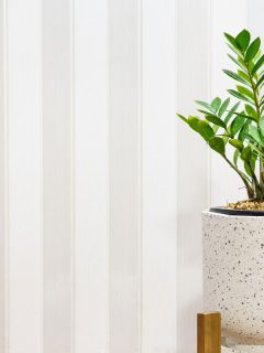 Eternity plant on a white stone pot, Best Fertilizer For Eternity Plant (Zz Plant) - And How To Use It
