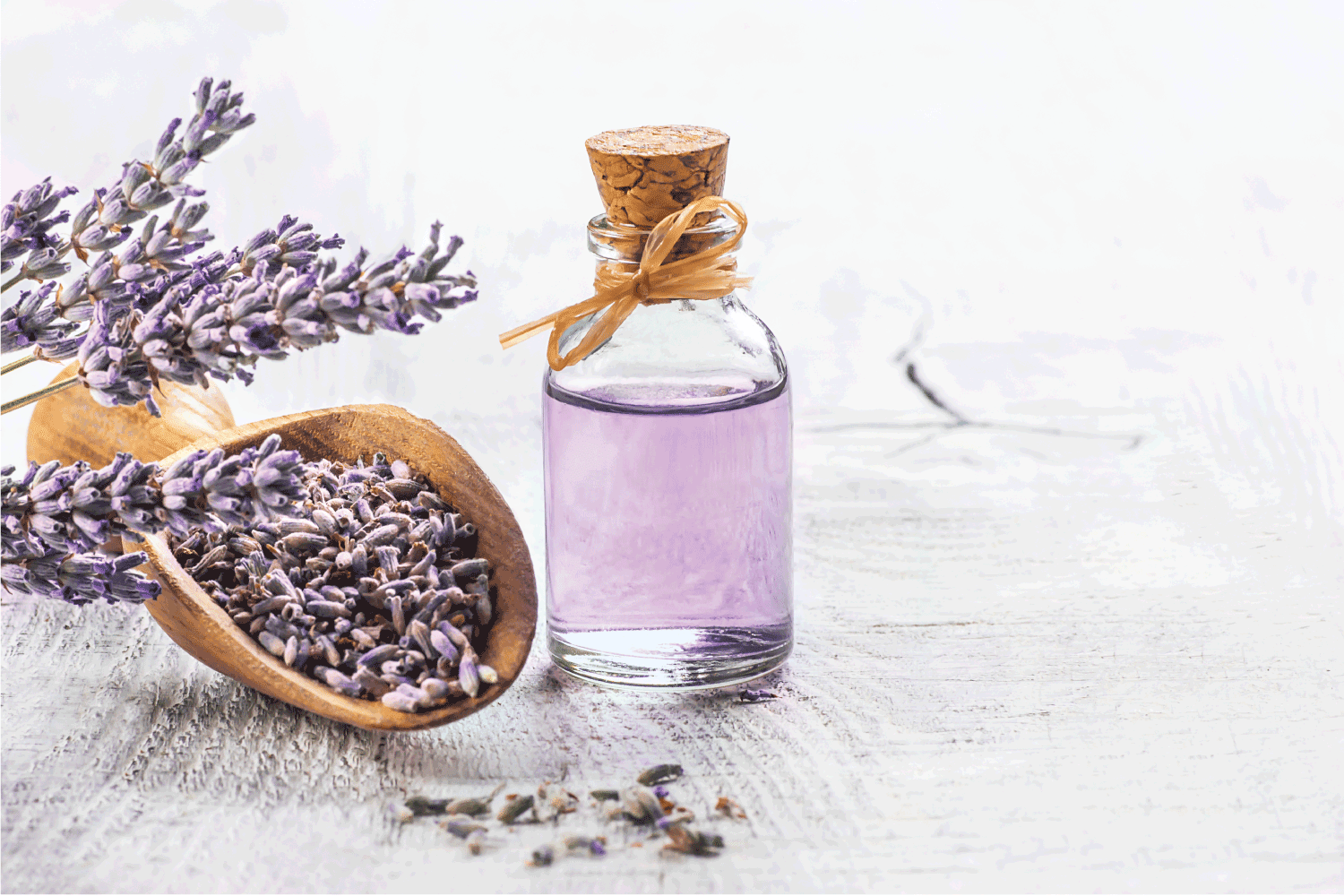 Glass bottle of Lavender essential oil with fresh lavender flowers and dried lavender seeds on white wooden rustic table