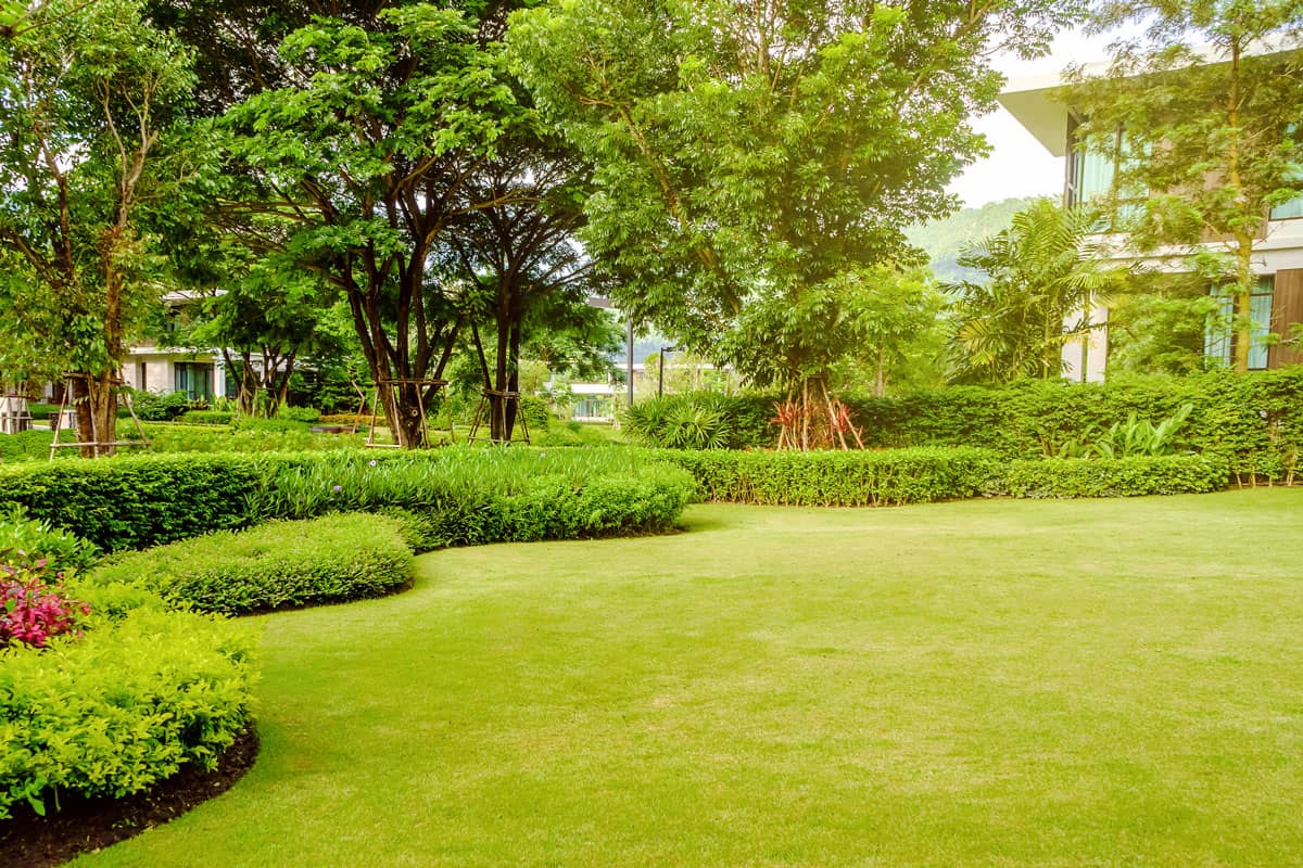 House in the park, Green lawn, front yard is beautifully designed garden