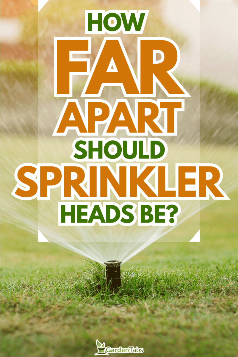 Sprinkler in the lawn garden, How Far Apart Should Sprinkler Heads Be?