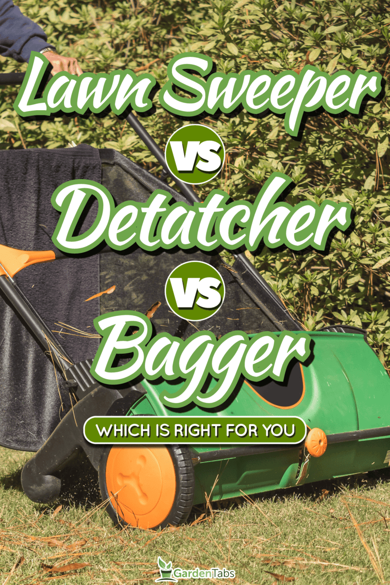 Lawn Sweeper Vs Dethatcher Vs Bagger - Which Is Right For You