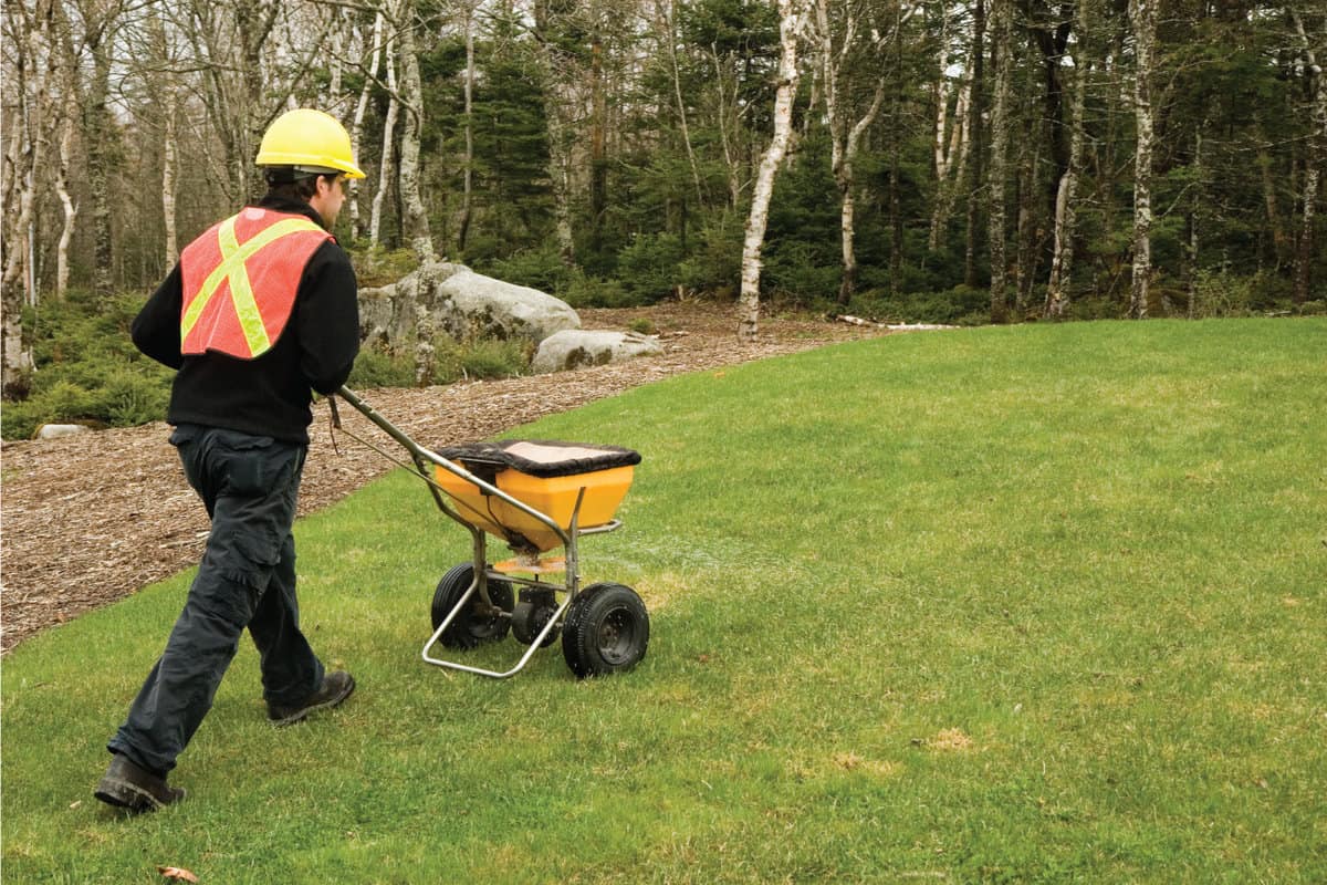 Lawn care worker spreads fertilizer