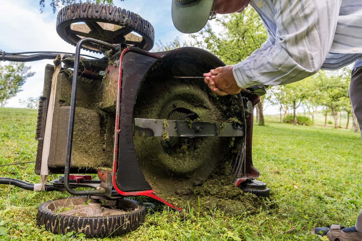 Man cleaning lawn mower.