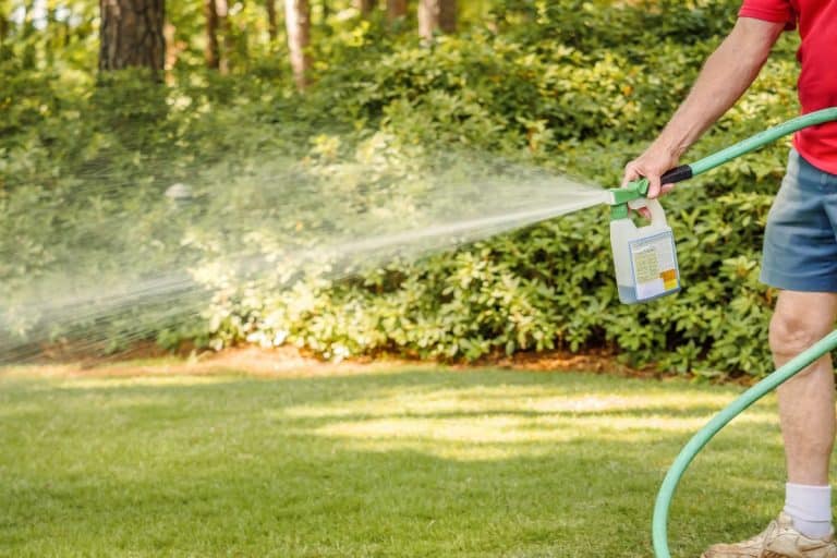 Man fertilizing residential backyard lawn with liquid chemical spreader. Landscaper spraying grass lawn with fertilizer, weed killer, and insecticide