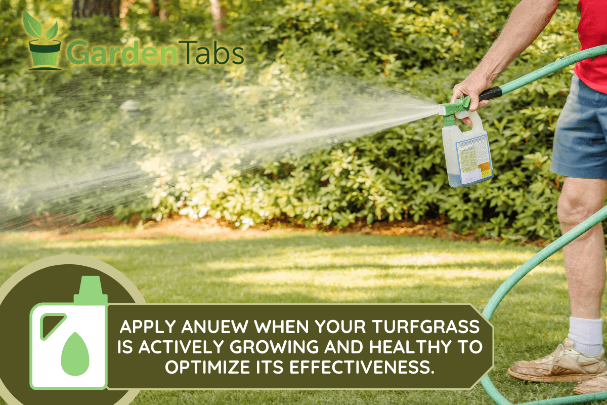 Man fertilizing residential backyard lawn with liquid chemical spreader. Landscaper spraying grass lawn with fertilizer, weed killer, and insecticide. - When To Apply Anuew [And How To]