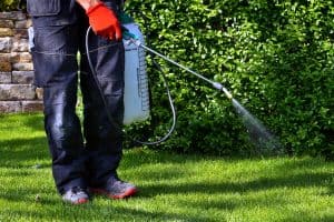 A man spraying pesticide with portable sprayer to kill weeds in the yard, When To Apply Brush Killer [And How To]?