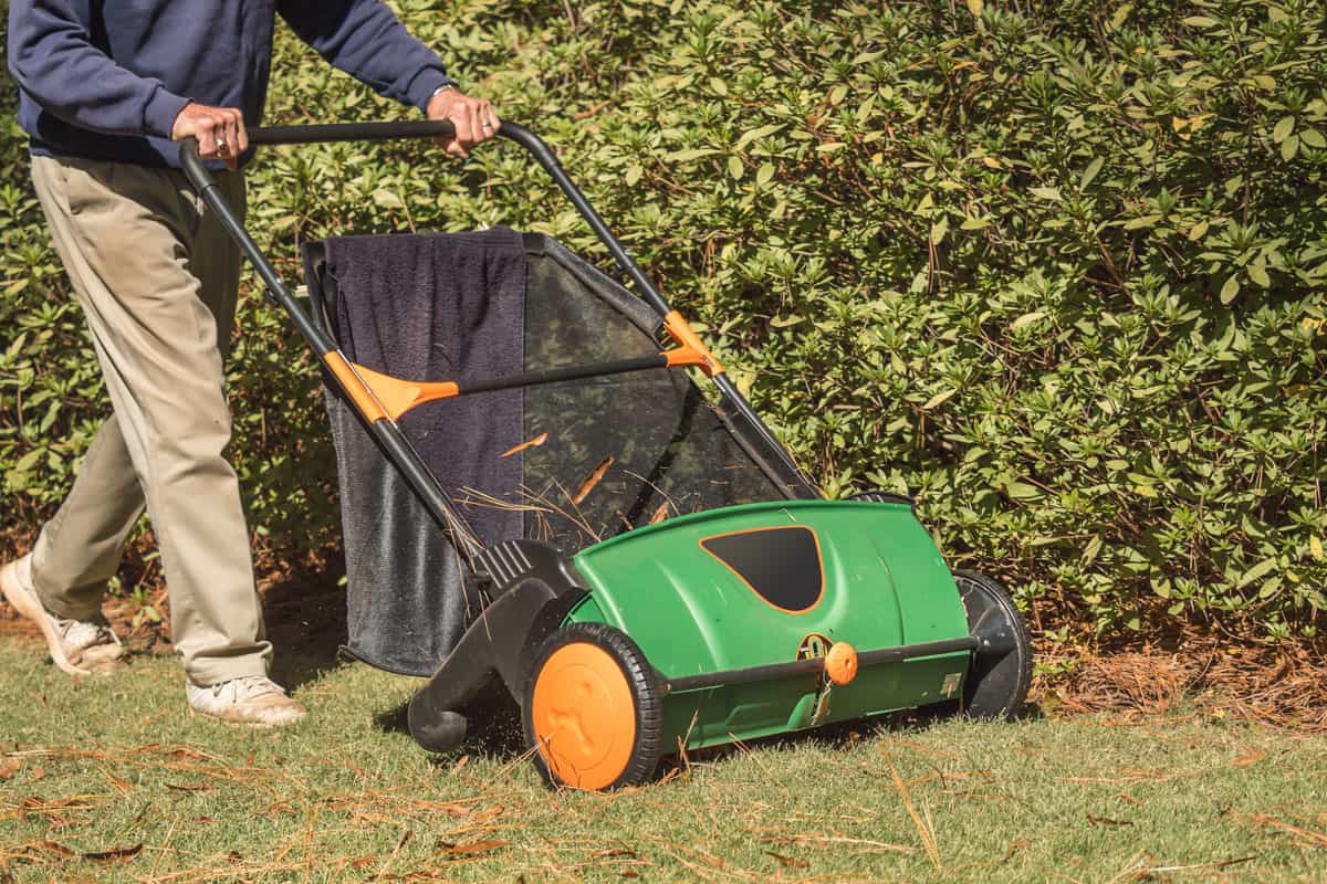 Man using manual push lawn sweeper to remove fall leaves from residential backyard grass lawn