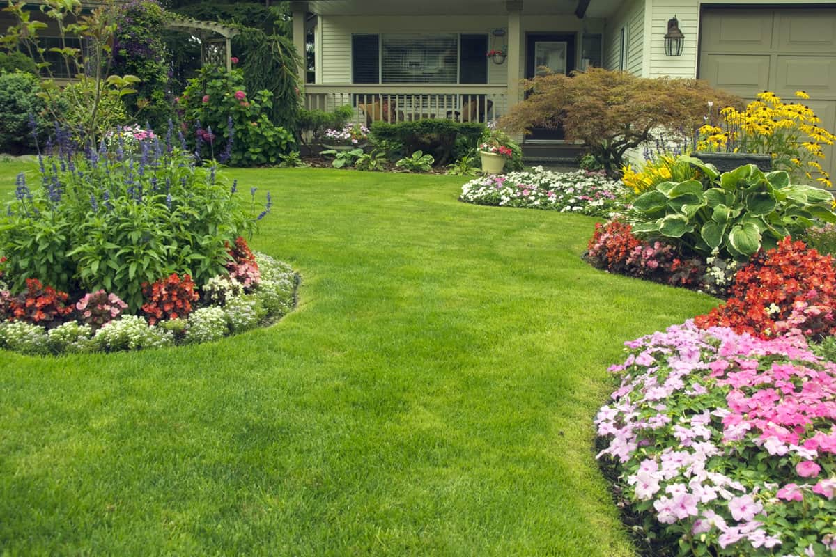 Manicured Yard. A beautifully manicured residential yard full of blossoms.