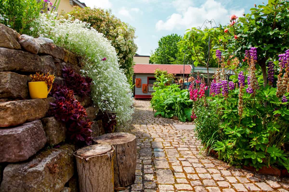 Modern Zenith - Beautiful landscaping in Backyard with flowerbed.