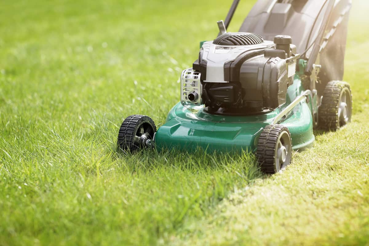 Mowing the lawn using a green lawn mower