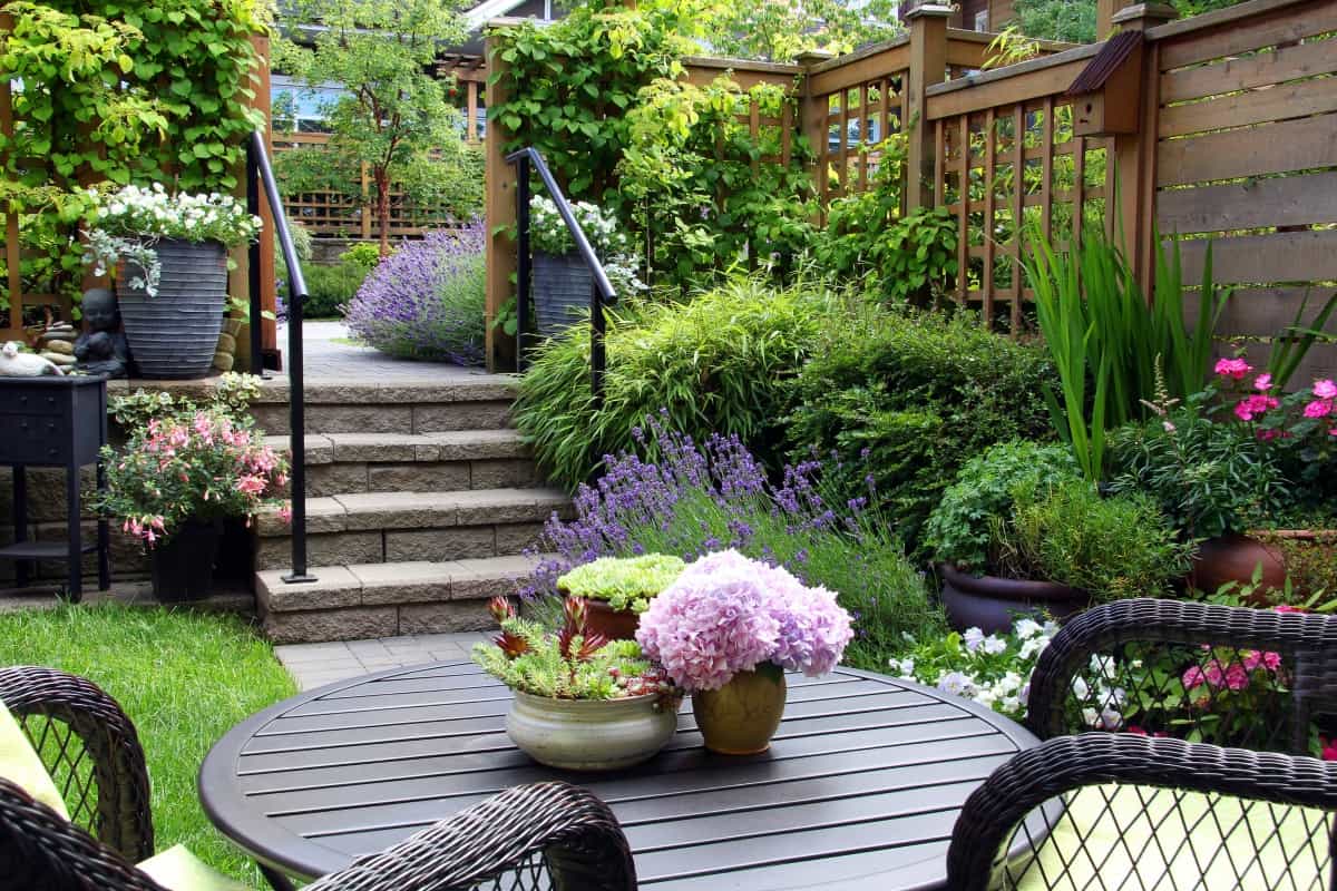 Paving for Intimacy - Small townhouse perennial summer garden.