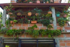 Rustic Brick Construction Full of Flower Pots with all Kinds of Flowers or Plants, Tall Plants For Pots In Full Sun [15 Gorgeous Ideas You Should Try!]