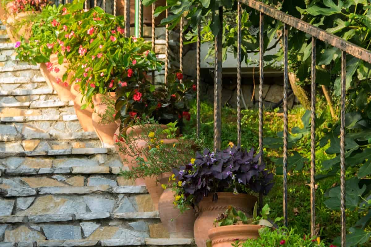 Stairway to Paving - Blooming potted flowers on a stone staircase