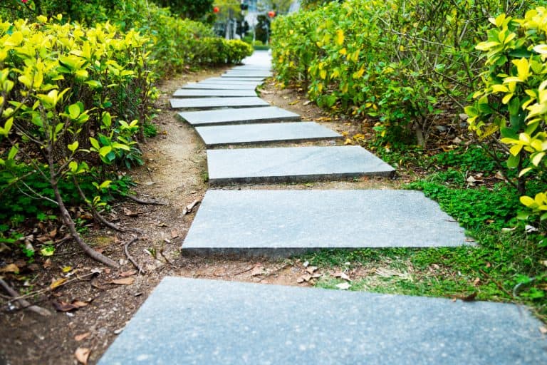 Stone footpath in the garden, How Far Apart Should Garden Stepping Stones Be?