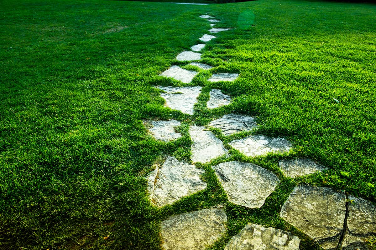 Stone pathway on green grass