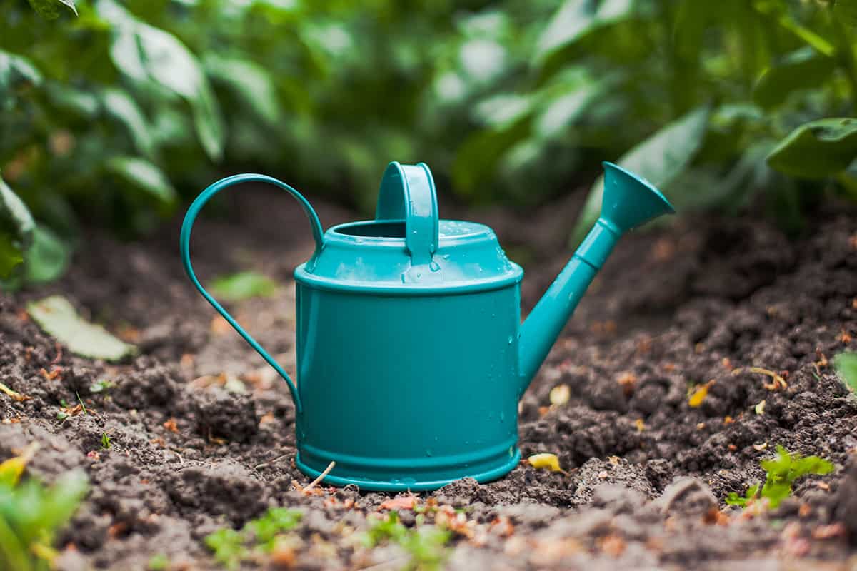Turquoise metal watering can