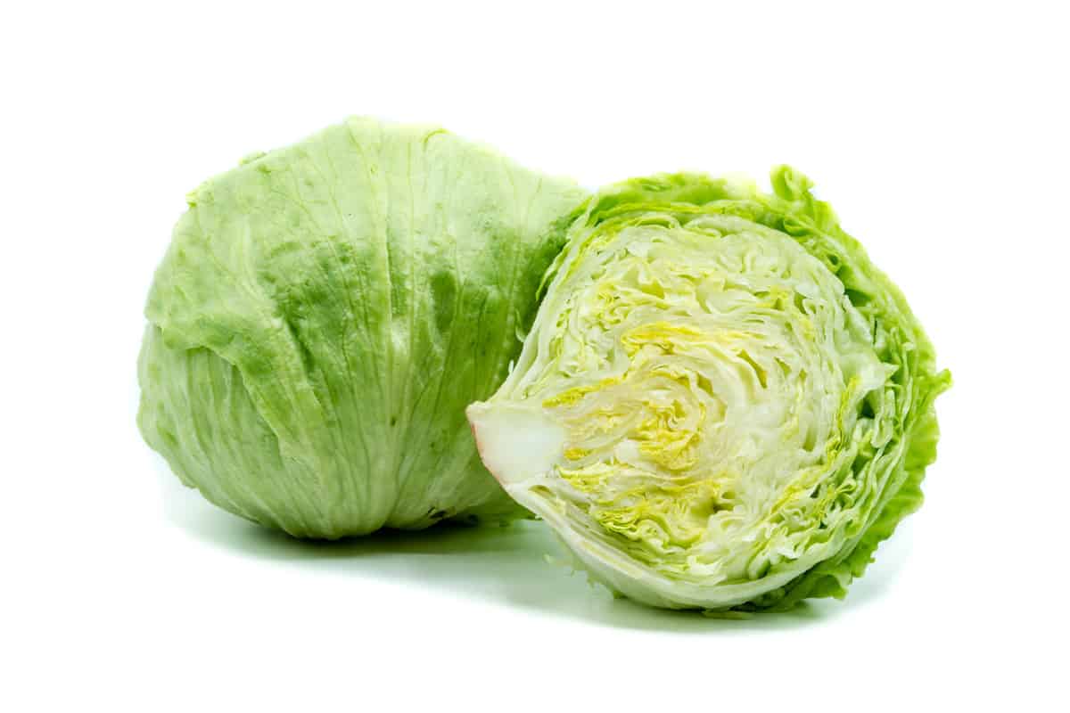 Two balls of lettuce on a white background