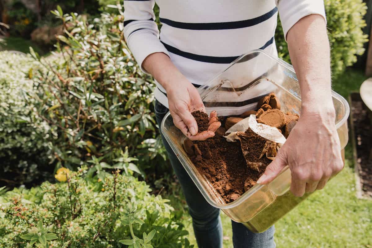 Unrecognisable woman in casual clothing holding a box of used coffee ground to use as compost in her garden