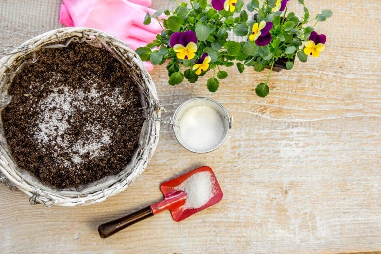 Water gel granules absorb water and stored water - Best Soil Mix For Hanging Baskets [7 Top Options You Should Try!]
