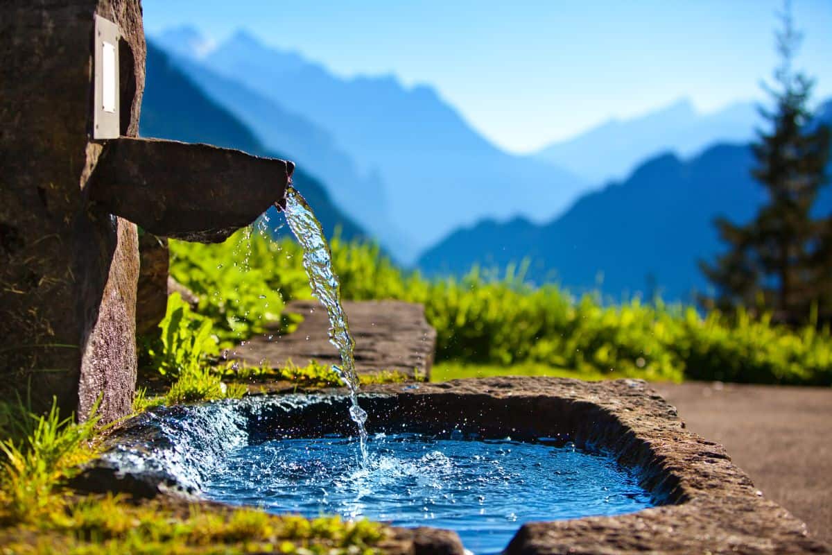 Water spring Water spring — Stock Photo, Image Find Similar Images Create Design Download U