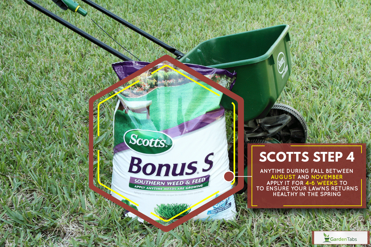 a bag of Scotts Southern Weed and Feed leaning against a Scotts Spreader, When To Apply Scotts Step 4 [And How To]