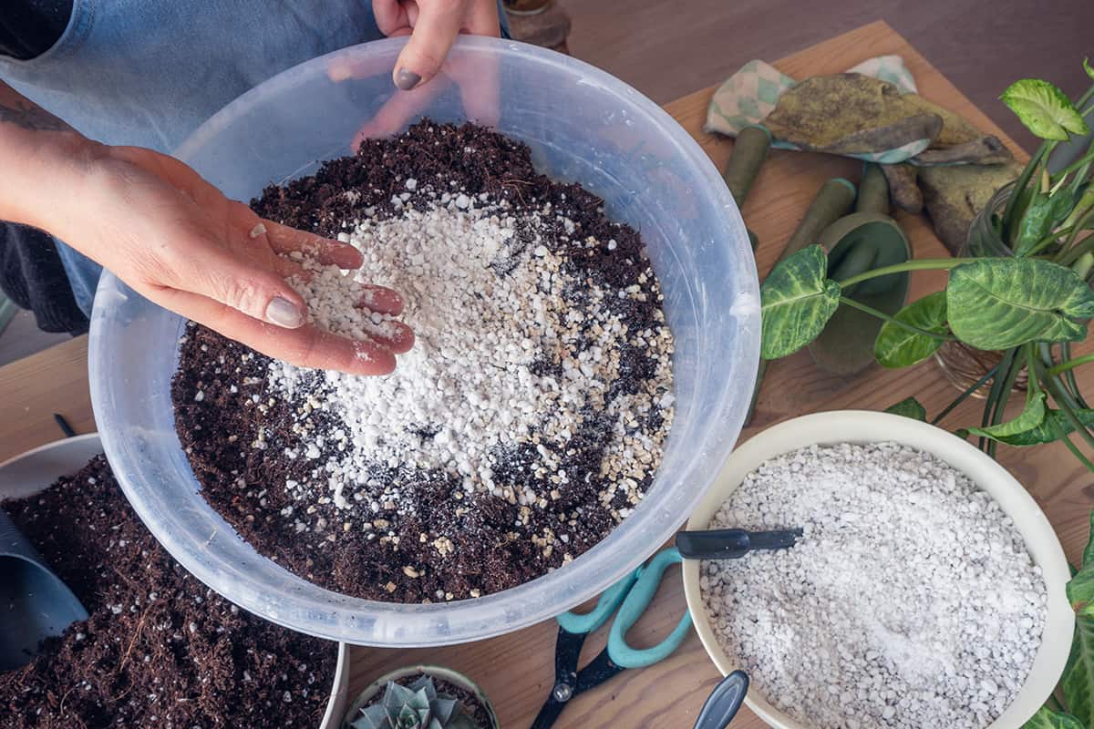 Woman mixing plant soil with perlite in the container