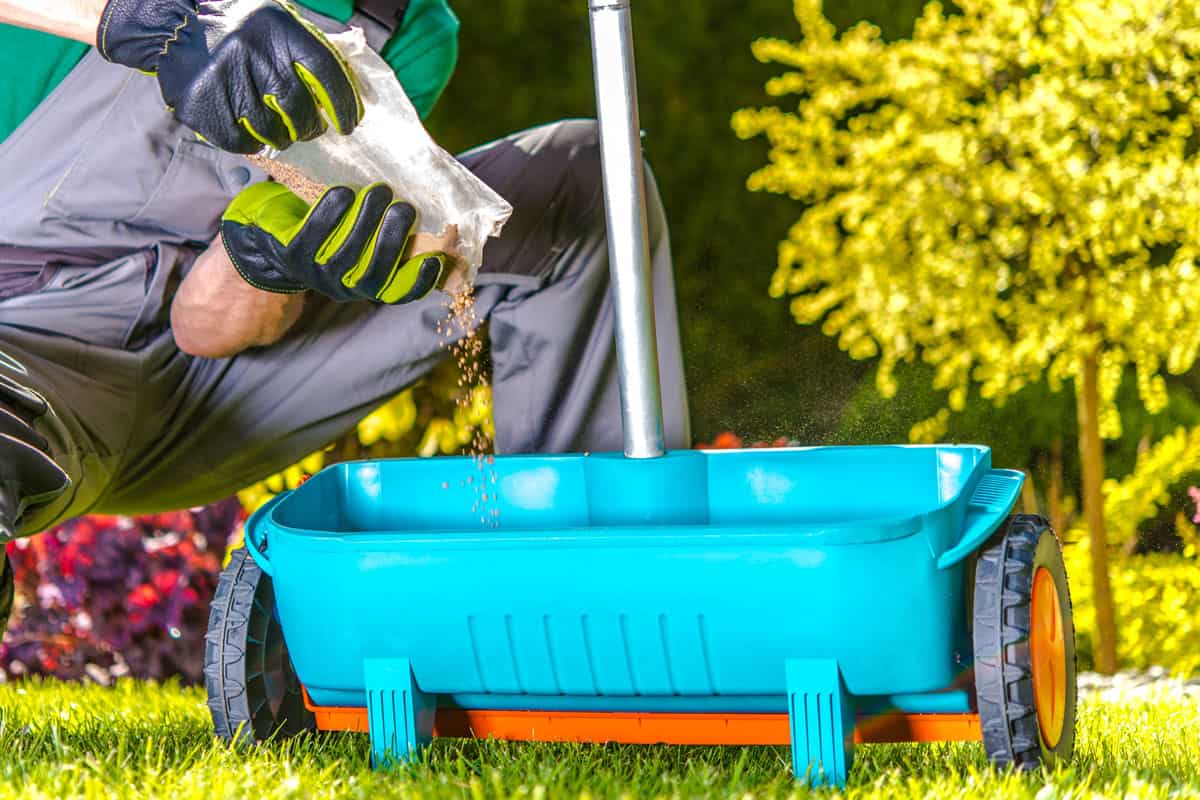 a gardener pouring fertilizers on the garden tool, refilling fertilizers, garden gloves, garden suit