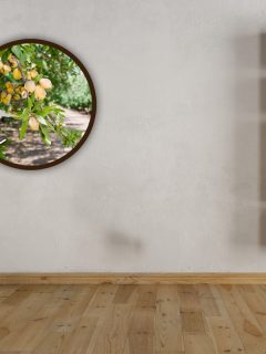 Empty interior with wall bookcase, Can Almond Trees Grow Indoors [And How To]? (Quick Guide For Beginners)