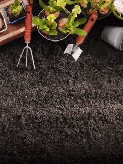 a picture of a garden, healthy soil, garden tools, garden pots, When To Apply Bone Meal To Your Garden [And How To]
