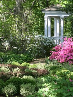 a spring garden in dappled light with blooming azalea and porch in background, Zone 6 Flowers To Plant In Fall [14 Suggestions To Beautify Your Landscaping]