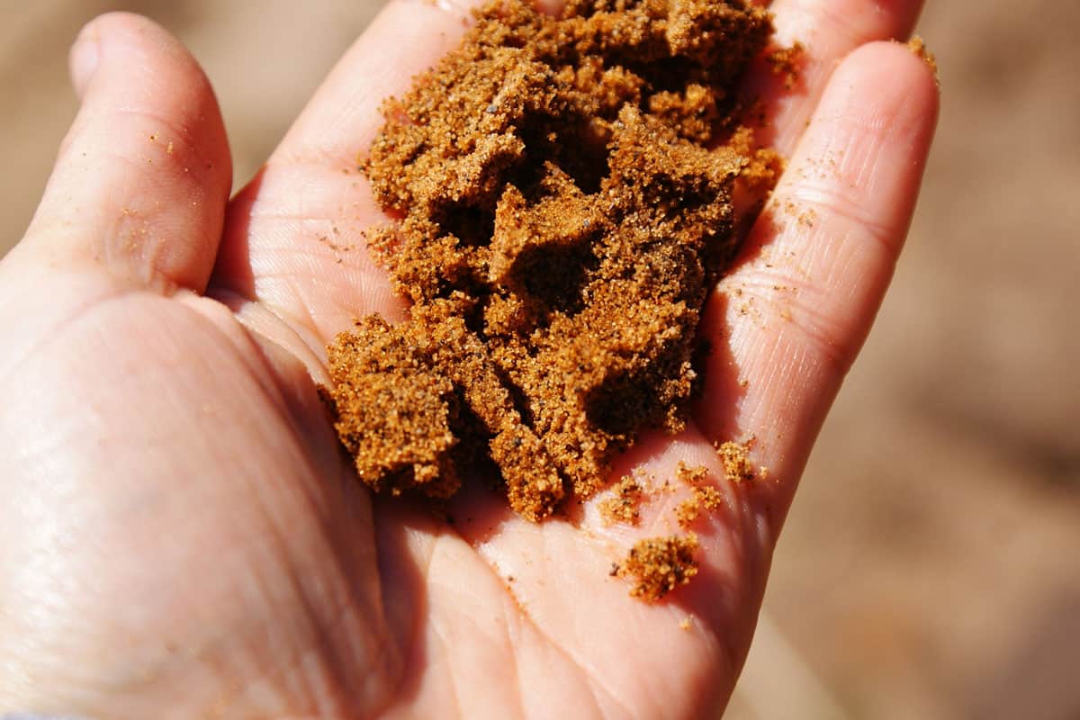 close up photo of a hand of a man with a soil on it on a sunny day at the farm on the mountain