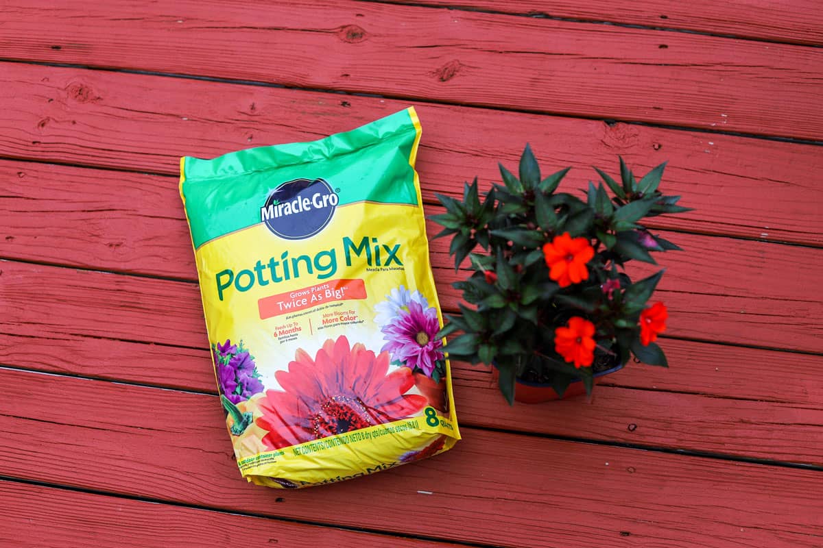 close up photo of a miracle gro potting mix, red painted wood deck, red flower in a pot