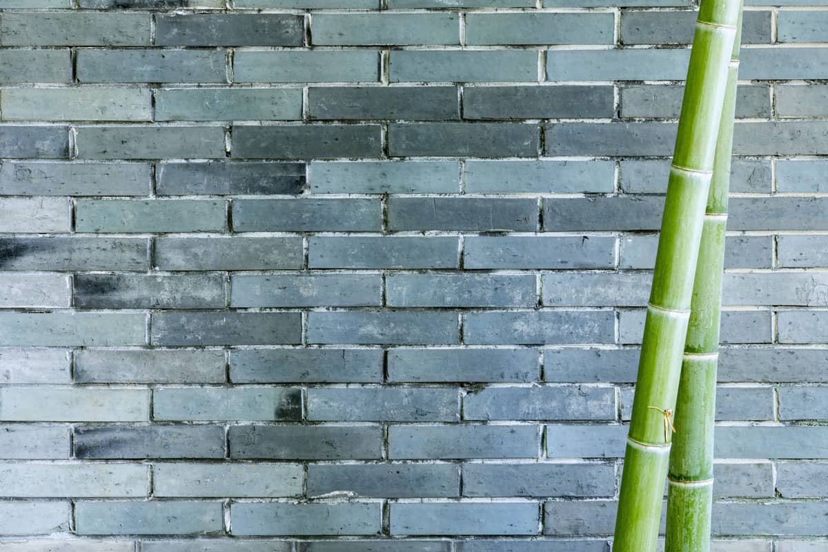 gray brick wall and bamboo, oriental zen background