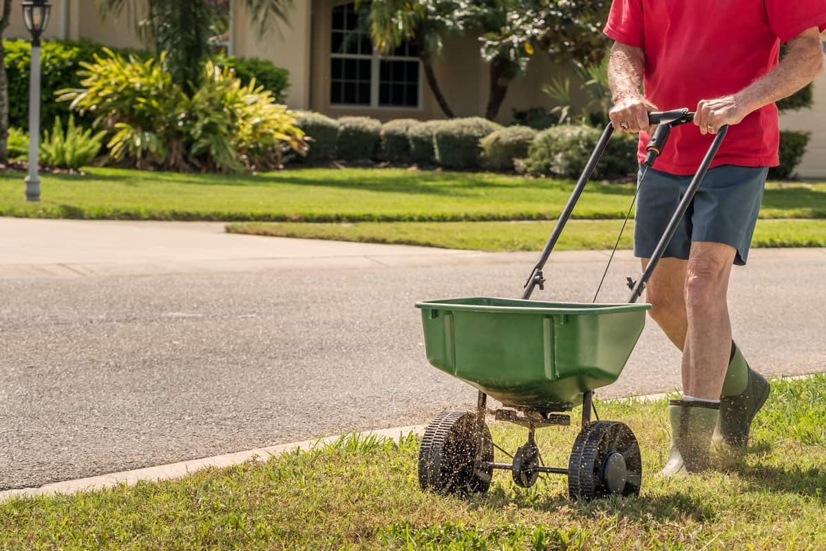 man, gardener pushing garden wheel borrow, red shirt, blue short, garden boots, on the front yard of the neighbor