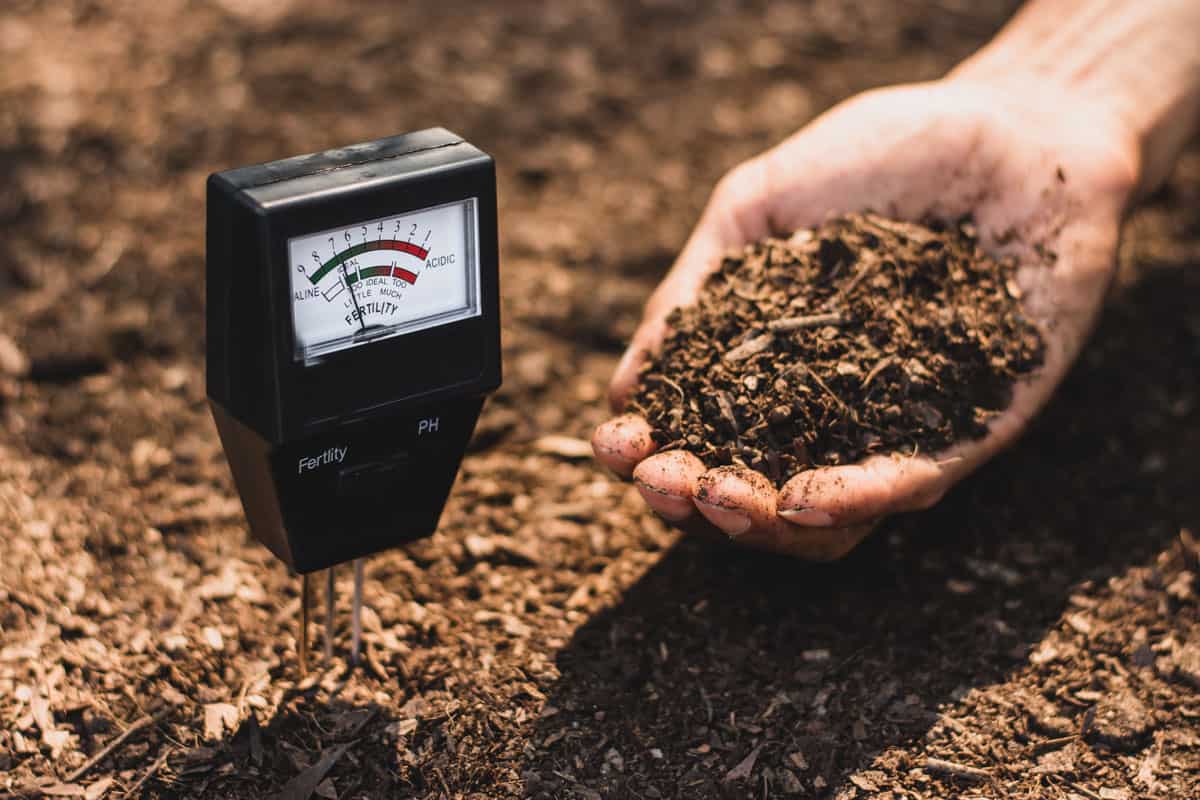photo of a man holding soil, soil meter on the garden soil
