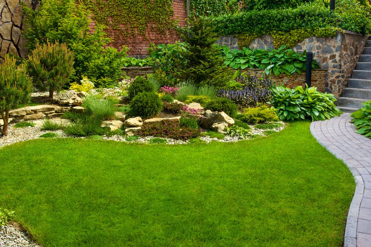 photo of a nice beautiful garden on the backyard of the house with green healthy grass