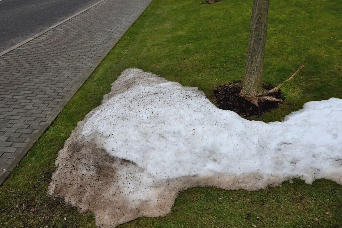 stressed lawn in the winter suffers from mold and excessive movement of people. especially bobbing destroys lawns. a long blanket of snow causes looting due to lack of air