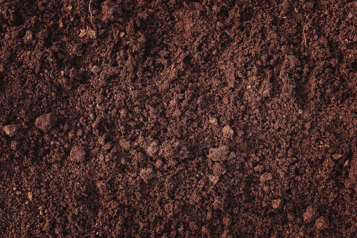 type of soil on the earth surface, small and big particles of earth soil, for garden soil