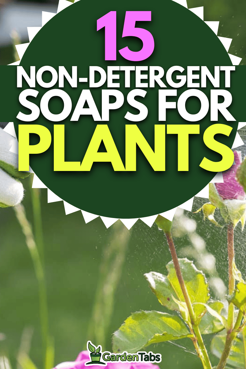 15 Best Non-Detergent Soaps For Plants