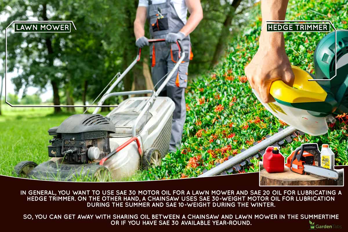 A collage of a lawn mower and a hedge trimmer, Can I Use Chainsaw Oil For My Lawn Mower Or Hedge Trimmer?