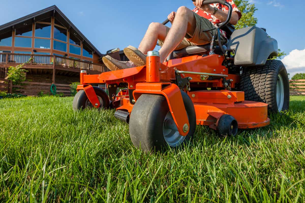 A man is mowing backyard on a riding zero turn lawnmower