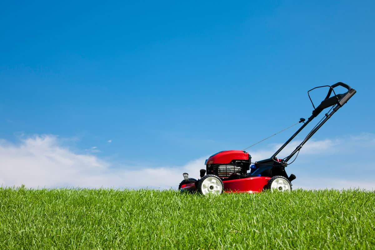 A red lawn mower on lush green grass on a summer day under a blue sky