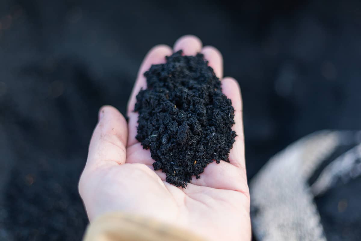 A top view of black Organic composted soil amendments in a hand